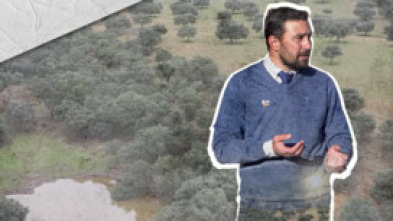 Montería en el Encinar de La Madre