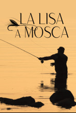 La lisa a mosca