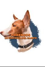 Podencos: La sintonía del campo