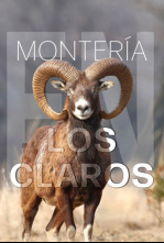 Montería en los claros