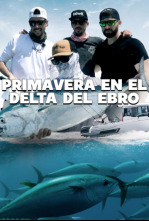 Primavera en el Delta del Ebro
