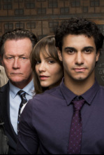 Imagen de Scorpion (T1): Ep.16 El crucero del amor - 9
