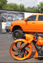 Imagen de Texas Metal (T1): Bajo y potente - 6