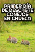 Cazando en cuadrilla al descaste del conejo