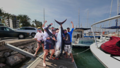 Pesca del atún gigante en temporada