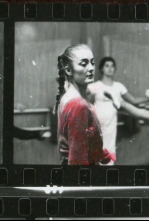 Homenatges (T1): Julio Palau, 