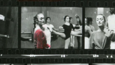 Homenatges (T1): Julio Palau, 