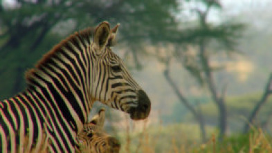 Imagen de Tanzania, el último refugio - 5