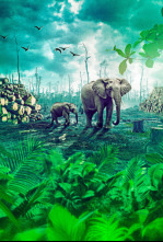 Gabon: Wildlife Warriors
