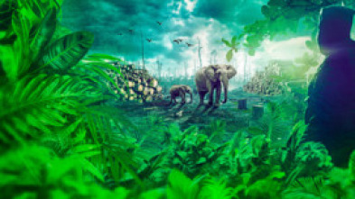 Gabon: Wildlife Warriors