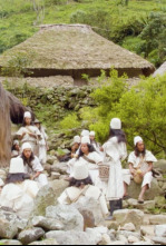 La línea negra