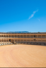 Imagen de Copa Chenel (T2026): Novillada desde Las Ventas - 4