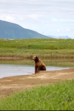 Alaska salvaje 