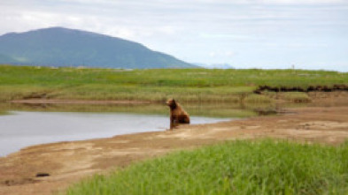 Alaska salvaje 