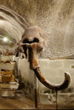 Altamira, el origen del arte
