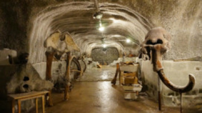 Altamira, el origen del arte