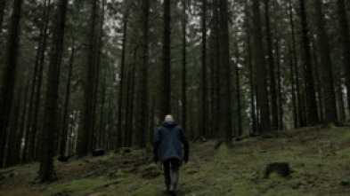 Veus de l'alliberament: L'horror de Hürtgenwald