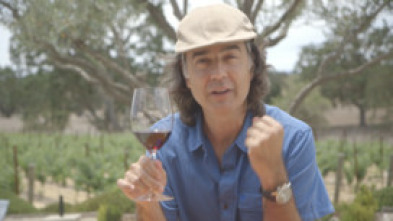 Wineman: Chile 1: Seis meses de vendimia