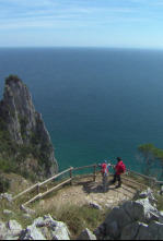 80 cm (T2): Cantabria