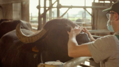 Imagen de La italia que gusta: Una experiencia gastronómica - 5