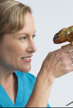 Imagen de Doctora K: animales exóticos: ¡mujeres maravillosas! - 8