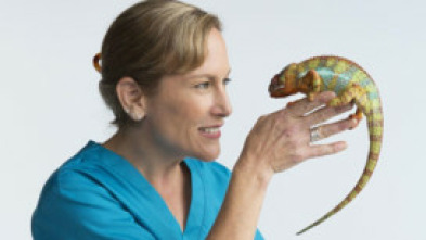 Imagen de Doctora K: animales exóticos: ¡mujeres maravillosas! - 9