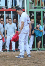 Imagen de Bous des d'Almassora - 4