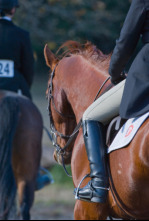 Imagen de CSI** Heras... (T2025): GP Cantabria - 4
