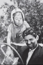 Imagen de Pepito, as del volante - 4