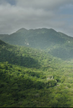 Imagen de Tayrona: La selva - 4