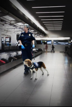 Imagen de Control de...: Un túnel desde Tijuana - 5