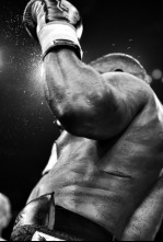 Imagen de Boxeo: velada... (2016): Gennadiy Golovkin vs Kell Brook - 4