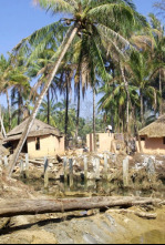 Imagen de Tsunami: La carrera...: Tailandia - 5