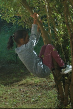 Imagen de Entrialgo - 4