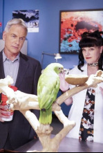 Imagen de Navy:... (T14): Ep.1 Por libre - 4