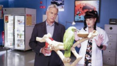 Imagen de Navy:... (T14): Ep.1 Por libre - 5