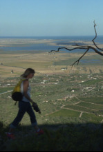Imagen de 80 cm (T3): Delta del Ebro - 4