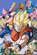 Imagen de Dragon Ball Z Kai (T2): Ep.6 ¡Gohan hace de maestro! La introducción a la técnica de vuelo de Videl - 4