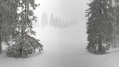 Imagen de El blanco invierno, estación en el borde alpino - 5