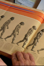 Imagen de Neandertal, tras la huella de otra humanidad - 4