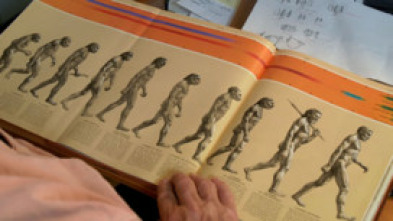 Imagen de Neandertal, tras la huella de otra humanidad - 5