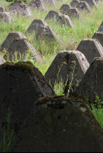 Imagen de Lo mejor de Nazi...: Armas de la venganza - 6