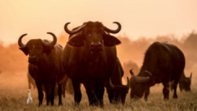 Imagen de Los cambios de la naturaleza - 5