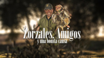 Imagen de Zorzales, amigos y una buena causa - 5