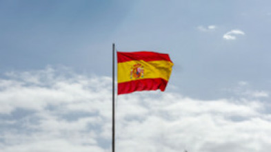 Imagen de Especial informativo: desfile de las Fuerzas Armadas - 5