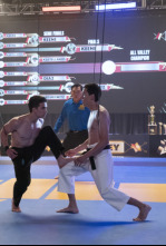 Imagen de Cobra Kai (T4): Ep.3 Luego aprender volar - 9