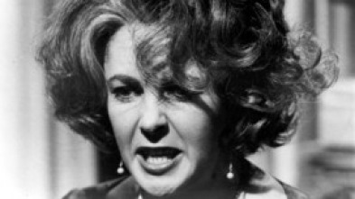 Imagen de ¿Quién teme a Virginia Woolf? - 15