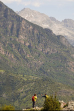 Imagen de 80 cm (T5): Serranía de Cuenca - 4