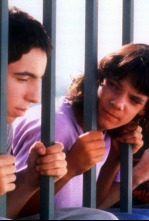 Imagen de Barrio - 4