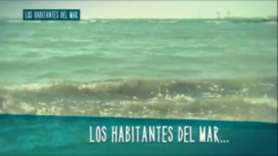 Imagen de Los habitantes del mar - 5